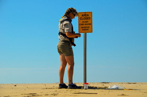 Jennifer Cahill instala una señal en una de las islas del Refugio Nacional de la Vida Silvestre Cape Romain [Foto por David Lucas SCDNR] 