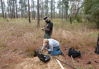 Scoping a gopher toroise burrow