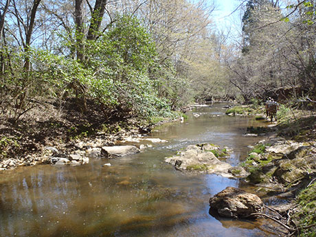 Little Lynches River - Pee Dee River Basin, South Carolina