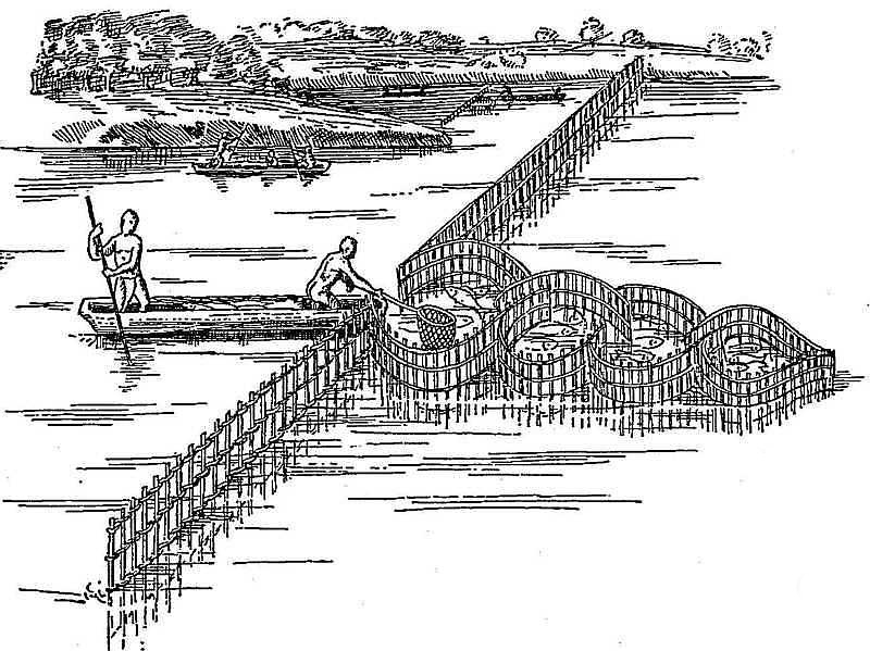 Primative Fishing Weir