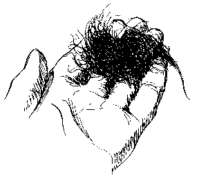 Line drawing of a hand holding a clump of Pithohora Algae
