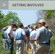 everyone on a field trip getting involved