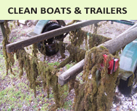 Clean boats and trailers!
