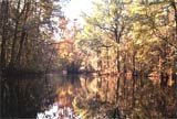 Little Pee Dee River of Dillon County
