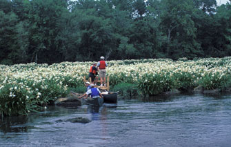 Catawba Scenic River