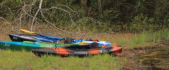 Kayaks