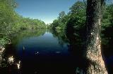 Little Pee Dee River