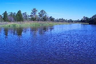 Ashley Scenic River