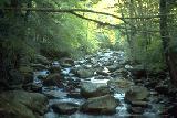 Middle Saluda River