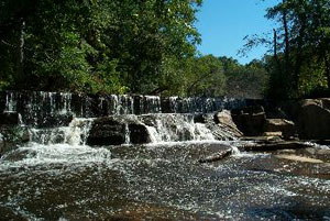 Reedy River Cascade