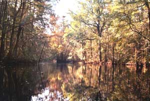 Little Pee Dee River of Dillon County