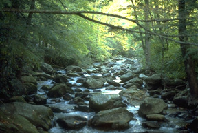 Middle Saluda Scenic River