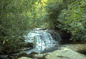 Middle Saluda Scenic River