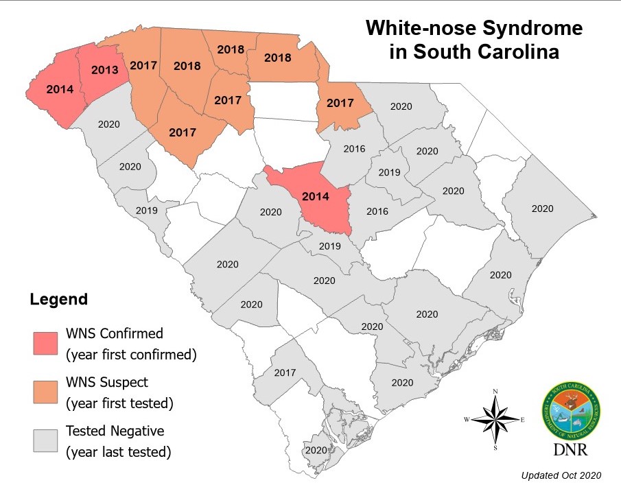 White-nose Syndrome Occurrence by County in SC