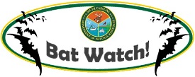 Bat Watch Decal Example