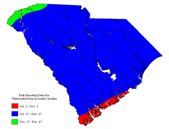 Peak Breeding map of White-tailed Deer in South Carolina