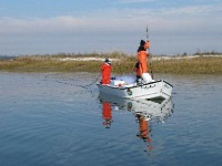 Physical capture of terrapins by SCDNR biologists