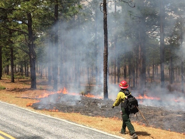 a person walkking next to a small fire that is in the grass