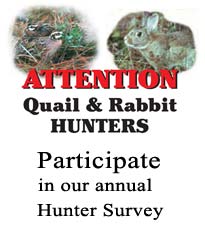 Attention - Quail and Rabbit Hunters - Participate in our annual Hunter Survey