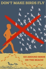 Dont Make Birds Fly Graphic