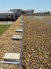 Rooftop showing fencing to prevent young Least Terns from falling of the roof