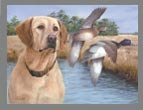 2009 Duck Stamp - Ring Neck Duck at Broad River by Jim Killen
