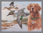 2012 Green-Winged Teal in Orangeburg County - Artist Jim Killen