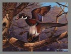 1990  Stamp - Wood Duck by John S. Wilson