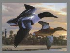 1995  Stamp - Shoveler by Rodney Huckaby