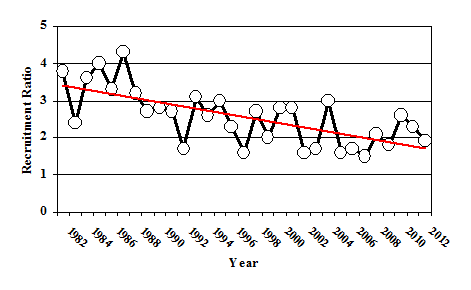 Figure 1 - Summer wild turkey recruitment ratio in SC 1982-2005