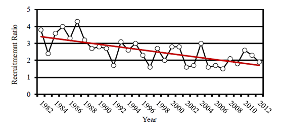 Recruitment Ratio - Figure 1