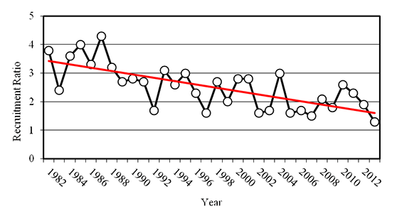 Recruitment Ratio - Figure 1