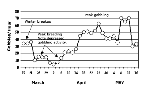 Gobbles per Hour Graph