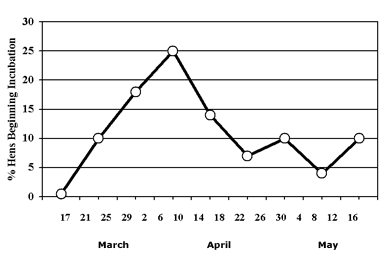 Hens graph - Beginning Incubation