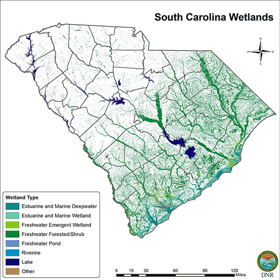 Dorchester County Sc Gis Scdnr - Wetlands