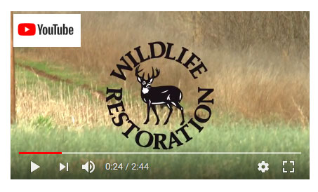 YouTube - Video on Wildlife Restoration Story in South Carolina