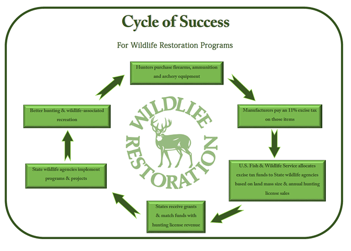 Cycle of Success Graphic courtsey of U.S. Fish and Wildlife Service - Wildlife Restoration Cycle of Success Graphic courtsey of U.S. Fish and Wildlife Service - Wildlife Restoration